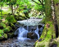 Water - Kenroku-en Gardens