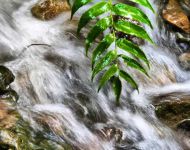 Rushing Water - Imperial Gardens