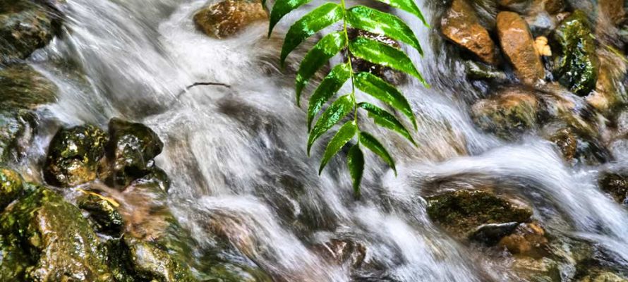 Rushing Water - Imperial Gardens